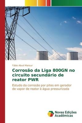 Corrosão da Liga 800GN no circuito secundário de reator PWR -  Abud Mansur Fábio
