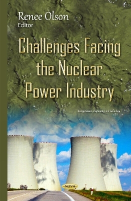 Challenges Facing the Nuclear Power Industry - 