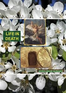 Life in death - Card. Javier Lozano Barragán