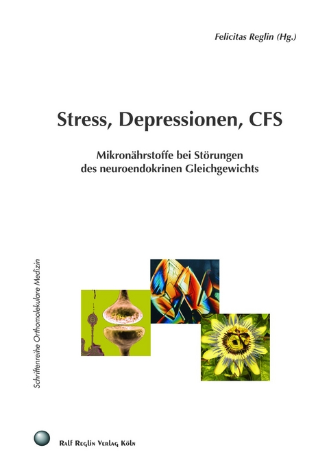 Stress, Depressionen, CFS - Felicitas Reglin, Wilfried P Bieger, Hartmut Heine, und und andere