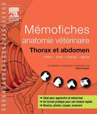 Memofiches Anatomie Veterinaire - Thorax Et Abdomen -  Saunders, Claire Douart