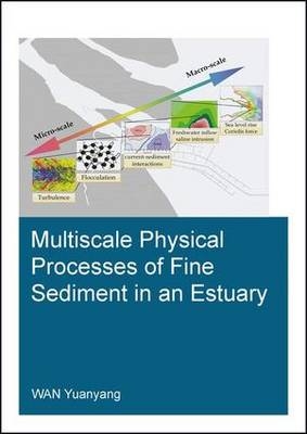 Multiscale Physical Processes of Fine Sediment in an Estuary - Yuanyang Wan