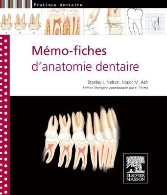 Mémo-fiches d'anatomie dentaire - Stanley J. Nelson, Major M. Ash, Françoise Tilotta,  Scott & John Co