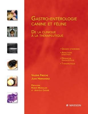 Gastro-Entérologie Canine Et Féline - Valerie Freiche, Juan Hernandez