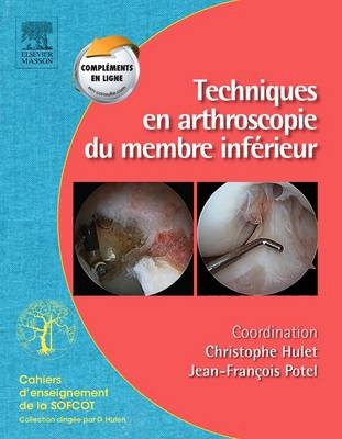 Techniques En Arthroscopie Du Membre Inferieur - Christophe Hulet, Jean-Francois Potel,  Apcort