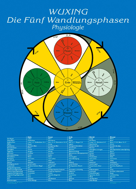 Die Fünf Wandlungsphasen: Physiologie. Lehrtafel in A4 - Florian Ploberger