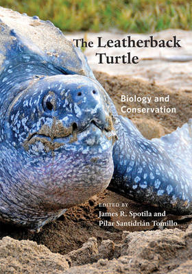 The Leatherback Turtle - 