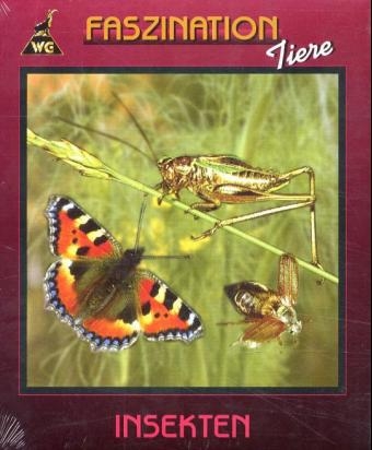Faszination Insekten - W Greuter