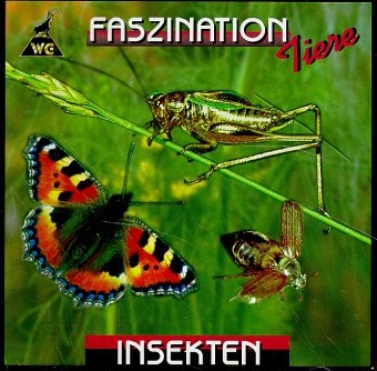 Faszination Insekten - W Greuter