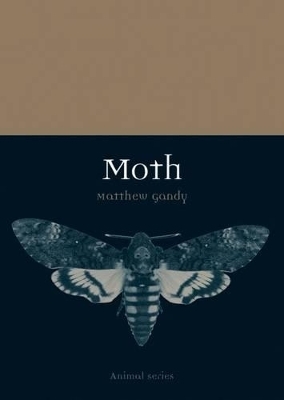 Moth - Matthew Gandy