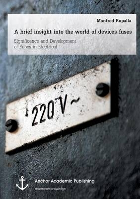 A brief insight into the world of device fuses: Significance and Development of Fuses in Electrical Devices - Manfred Rupalla