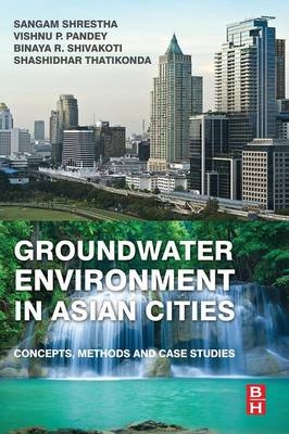 Groundwater Environment in Asian Cities - 