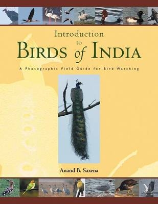 Birds of India -  ANAND