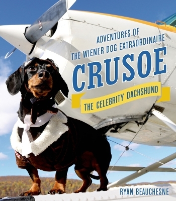 Crusoe, the Celebrity Dachshund - Ryan Beauchesne