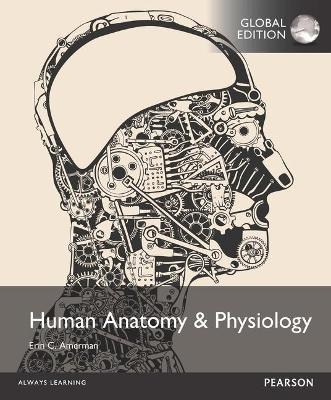 Human Anatomy & Physiology with MasteringA&P, Global Edition - Erin Amerman