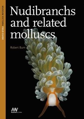 Nudibranchs and Related Molluscs - Robert Burn