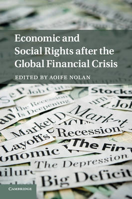 Economic and Social Rights after the Global Financial Crisis - 