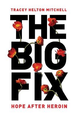 The Big Fix - Tracey Mitchell
