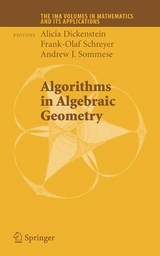 Algorithms in Algebraic Geometry - 