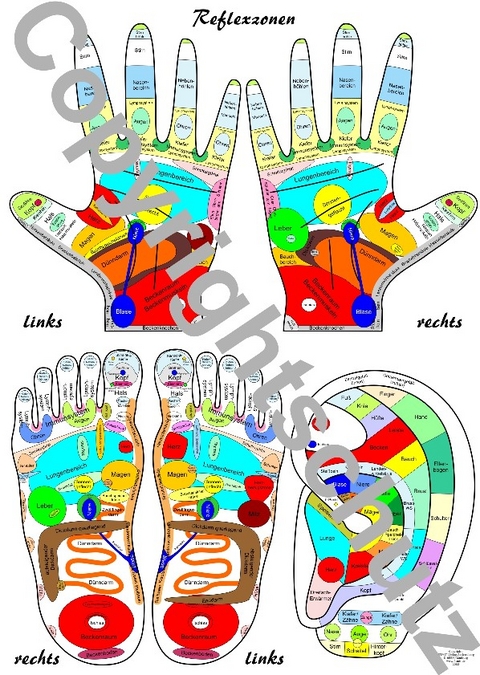 Reflexzonenübersicht - Füße, Hände und Ohr - Tanja Aeckersberg