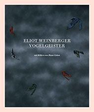 Vogelgeister - Eliot Weinberger, Shane Cotton