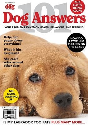 101 Dog Answers