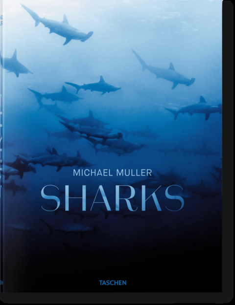 Michael Muller. Sharks - Philippe Cousteau,  Jr., Dr. Alison Kock, Arty Nelson