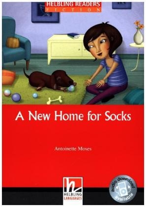 A New Home for Socks, Class Set - Antoinette Moses