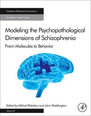 Modeling the Psychopathological Dimensions of Schizophrenia - 