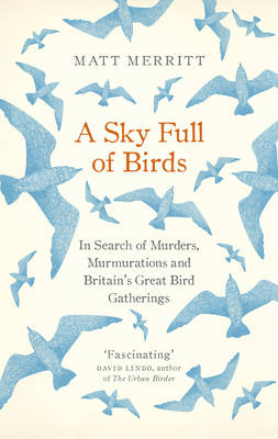 A Sky Full of Birds - Matt Merritt