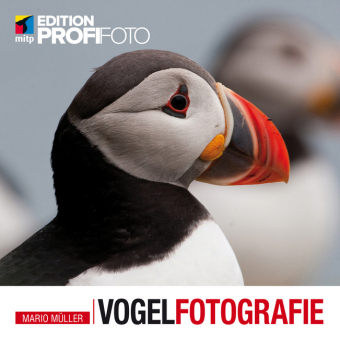 Vogelfotografie - Mario Müller