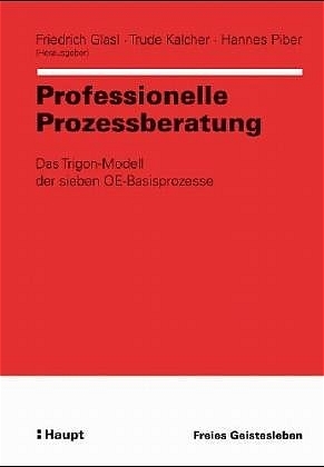 Professionelle Prozessberatung - 