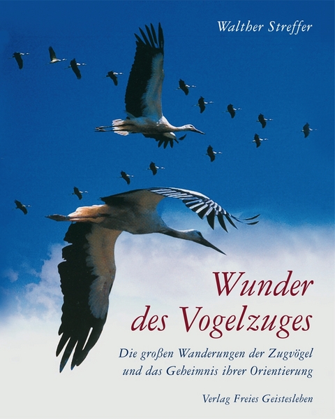 Wunder des Vogelzuges - Walther Streffer