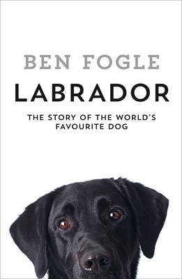 Labrador - Ben Fogle