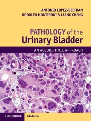 Pathology of the Urinary Bladder - Antonio Lopez-Beltran, Rodolfo Montironi, Liang Cheng