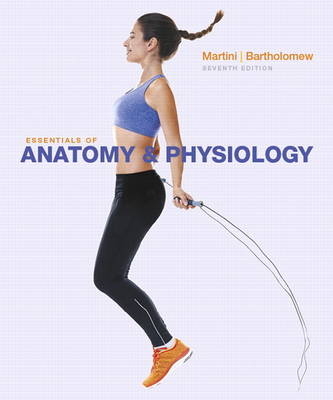 Essentials of Anatomy & Physiology - Frederic Martini, Edwin Bartholomew