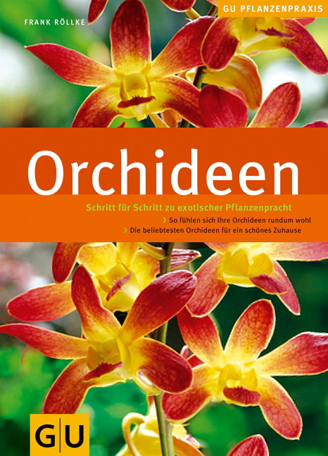 Orchideen - Frank Röllke