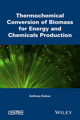 Thermochemical Conversion of Biomass for the Production of Energy and Chemicals - Anthony Dufour