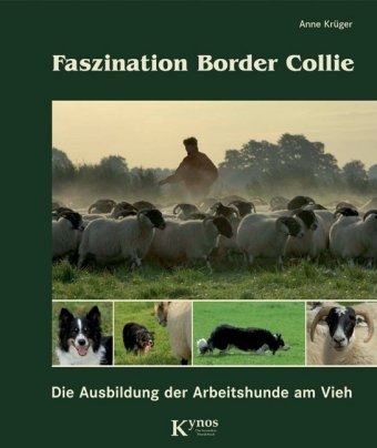 Faszination Border Collie - Anne Krüger