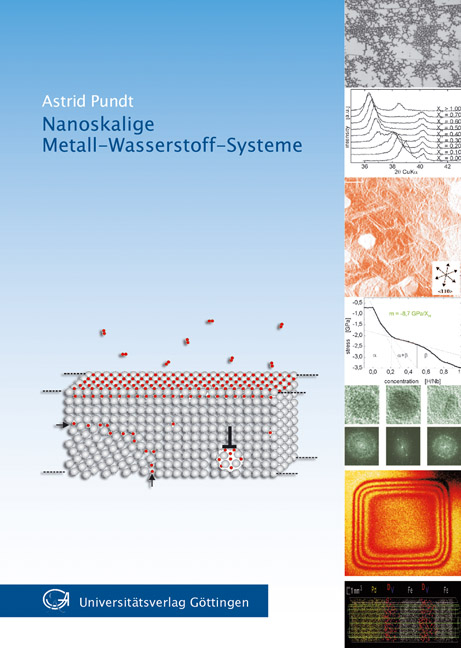 Nanoskalige Metall-Wasserstoff-Systeme - Astrid Pundt