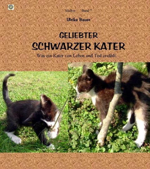 Geliebter Schwarzer Kater - Ulrike Bauer