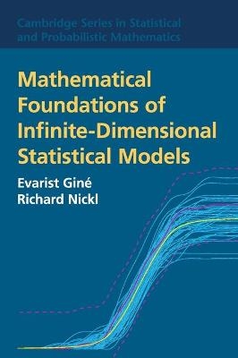 Mathematical Foundations of Infinite-Dimensional Statistical Models - Evarist Giné, Richard Nickl