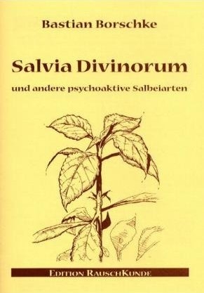 Salvia Divinorum - Bastian Borschke