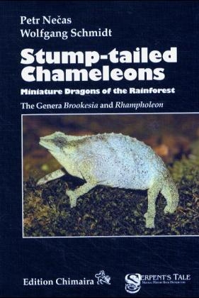 Stump-tailed Chameleons - Petr Necas, Wolfgang Schmidt