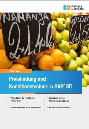 Preisfindung und Konditionstechnik in SAP SD - Ilona Bauer