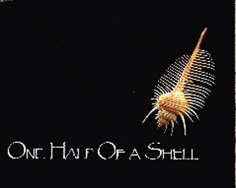One Half of a Shell - Yeoh Siok Kee