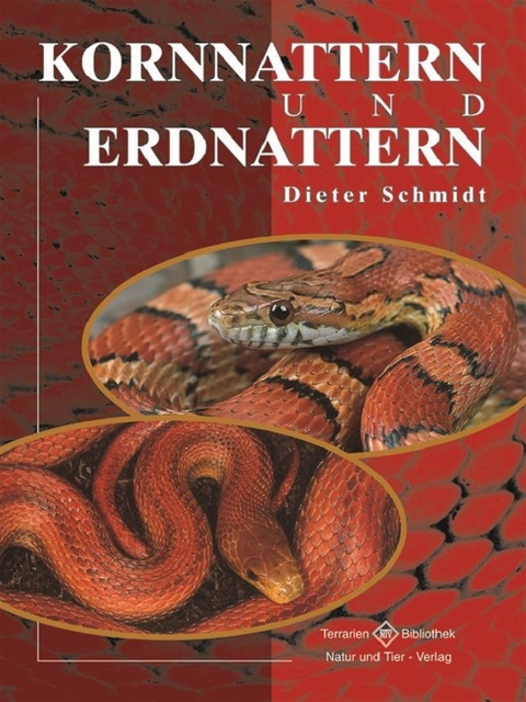 Kornnattern und Erdnattern - Dieter Schmidt