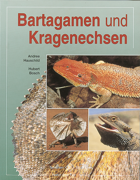 Bartagamen und Kragenechsen - Andree Hauschild, Hubert Bosch