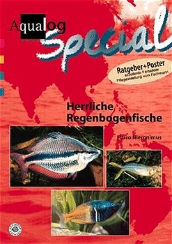 Herrliche Regenbogenfische - Harro Hieronimus