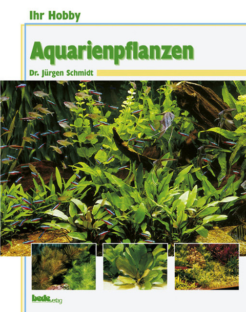 Aquarienpflanzen - Jürgen Schmidt